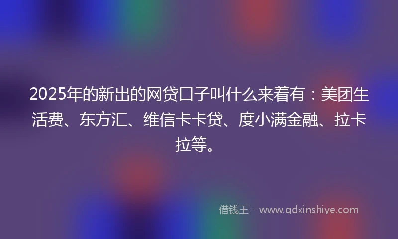 2025年的新出的网贷口子叫什么来着有：美团生活费、东方汇、维信卡卡贷、度小满金融、拉卡拉等。