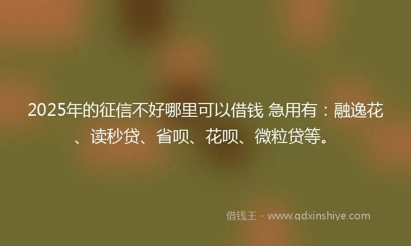 2025年的征信不好哪里可以借钱 急用有：融逸花、读秒贷、省呗、花呗、微粒贷等。