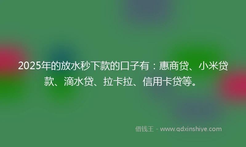 2025年的放水秒下款的口子有：惠商贷、小米贷款、滴水贷、拉卡拉、信用卡贷等。