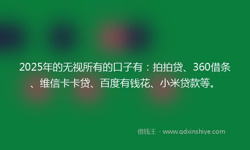 2025年的无视所有的口子有：拍拍贷、360借条、维信卡卡贷、百度有钱花、小米贷款等。