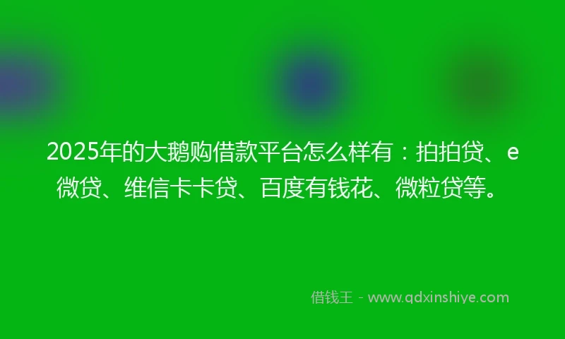 2025年的大鹅购借款平台怎么样有：拍拍贷、e微贷、维信卡卡贷、百度有钱花、微粒贷等。