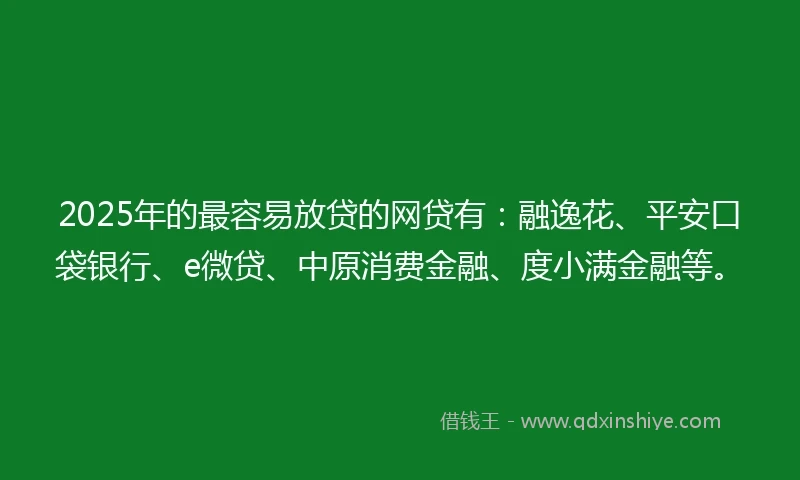 2025年的最容易放贷的网贷有：融逸花、平安口袋银行、e微贷、中原消费金融、度小满金融等。