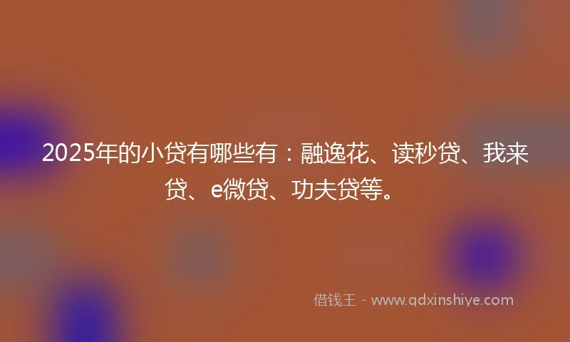 2025年的小贷有哪些有：融逸花、读秒贷、我来贷、e微贷、功夫贷等。