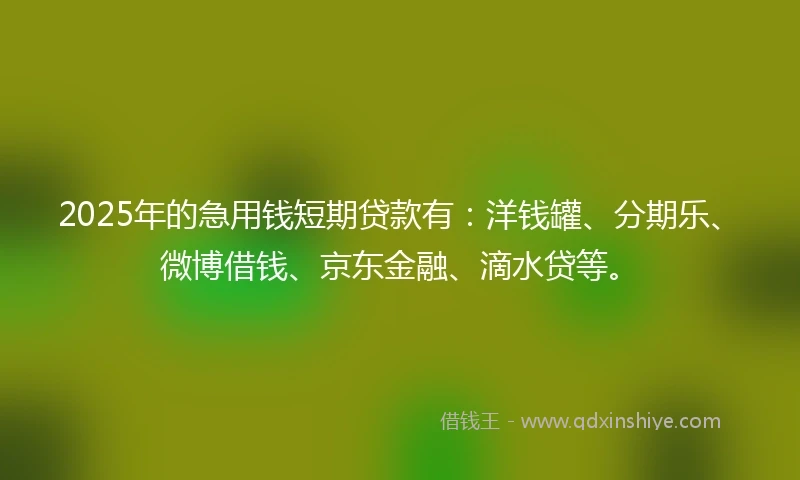 2025年的急用钱短期贷款有：洋钱罐、分期乐、微博借钱、京东金融、滴水贷等。