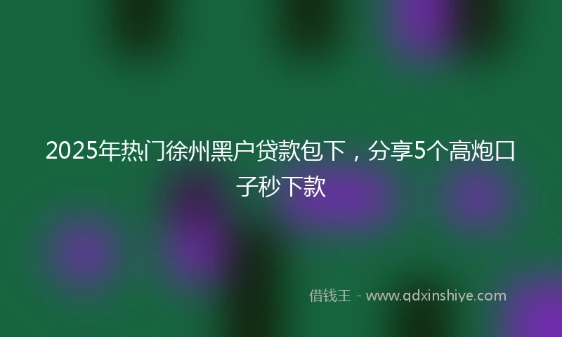2025年热门徐州黑户贷款包下，分享5个高炮口子秒下款