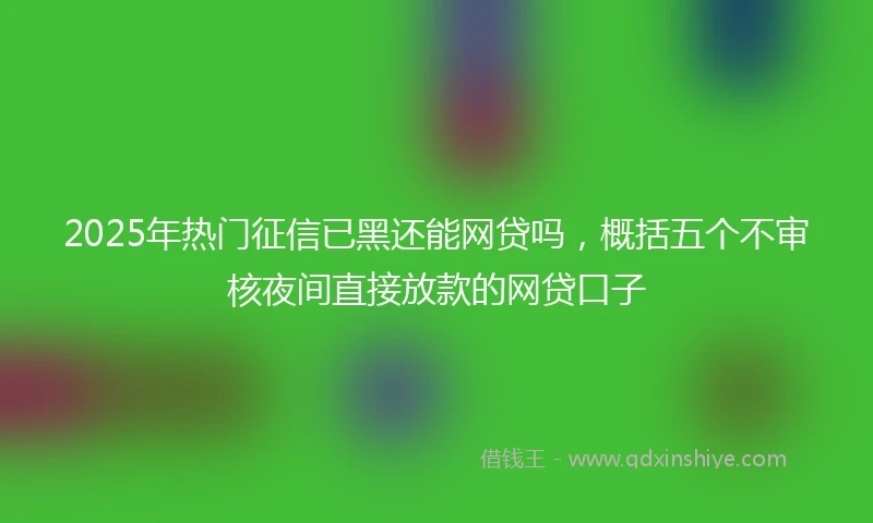 2025年热门征信已黑还能网贷吗，概括五个不审核夜间直接放款的网贷口子