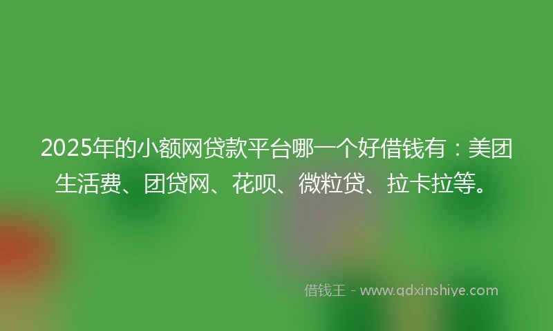 2025年的小额网贷款平台哪一个好借钱有：美团生活费、团贷网、花呗、微粒贷、拉卡拉等。