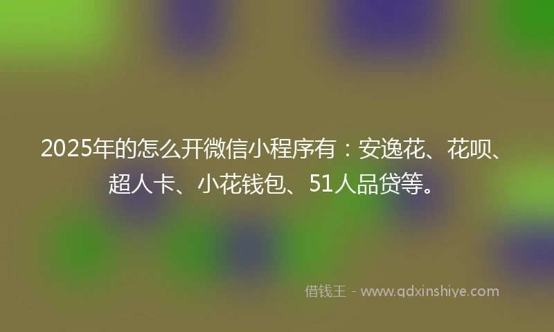 2025年的怎么开微信小程序有：安逸花、花呗、超人卡、小花钱包、51人品贷等。