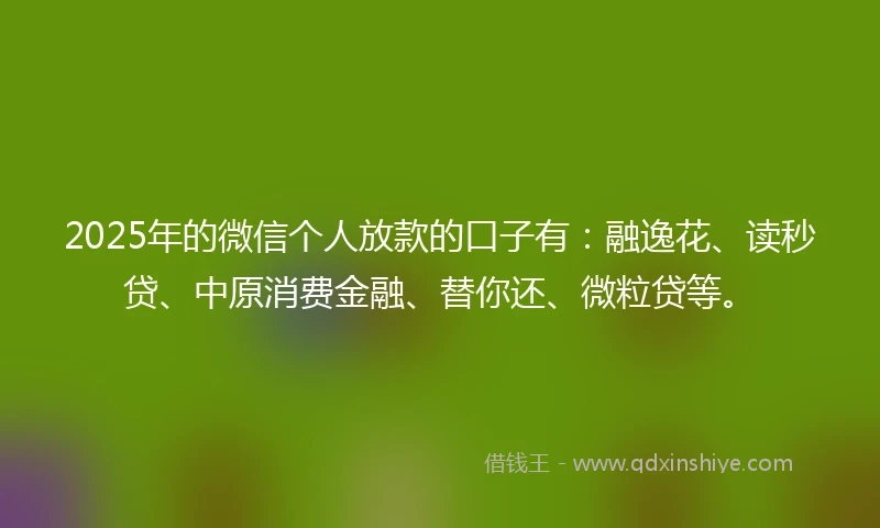 2025年的微信个人放款的口子有：融逸花、读秒贷、中原消费金融、替你还、微粒贷等。