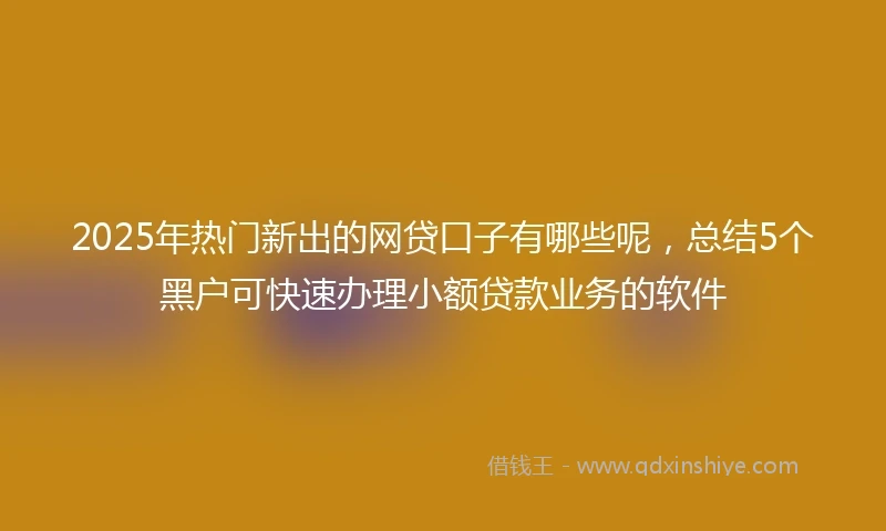 2025年热门新出的网贷口子有哪些呢，总结5个黑户可快速办理小额贷款业务的软件