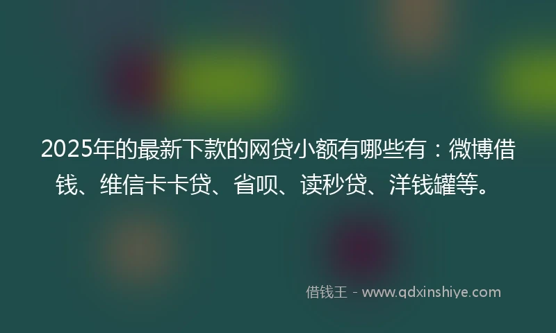 2025年的最新下款的网贷小额有哪些有：微博借钱、维信卡卡贷、省呗、读秒贷、洋钱罐等。