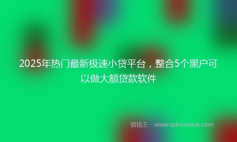 2025年热门最新极速小贷平台，整合5个黑户可以做大额贷款软件