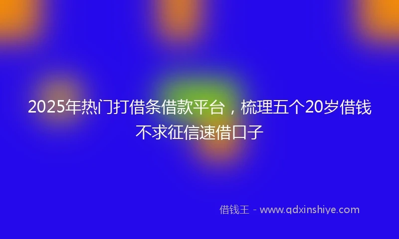 2025年热门打借条借款平台，梳理五个20岁借钱不求征信速借口子