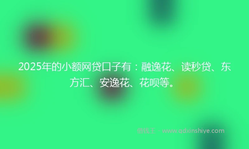 2025年的小额网贷口子有：融逸花、读秒贷、东方汇、安逸花、花呗等。