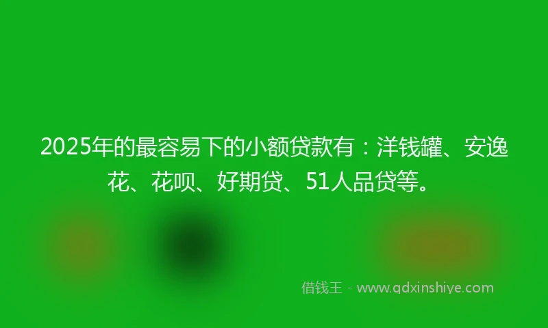 2025年的最容易下的小额贷款有：洋钱罐、安逸花、花呗、好期贷、51人品贷等。