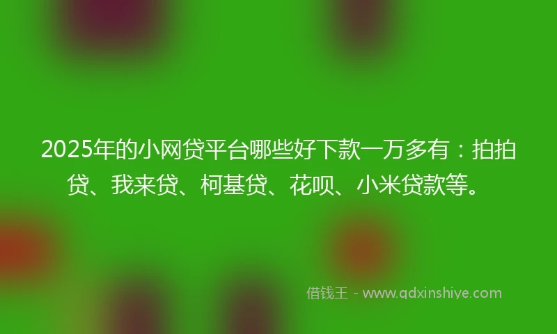 2025年的小网贷平台哪些好下款一万多有：拍拍贷、我来贷、柯基贷、花呗、小米贷款等。