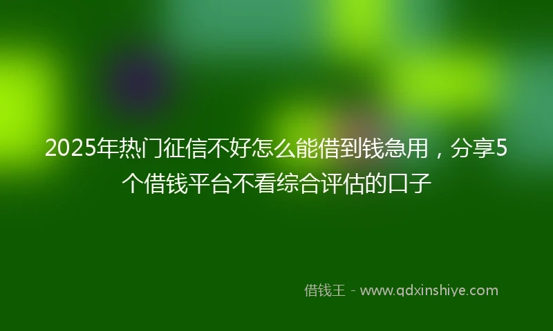 2025年热门征信不好怎么能借到钱急用，分享5个借钱平台不看综合评估的口子