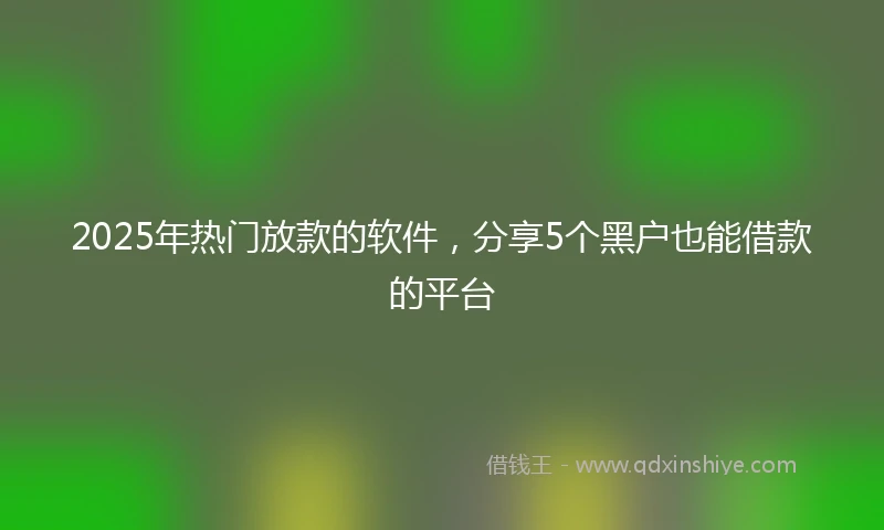 2025年热门放款的软件，分享5个黑户也能借款的平台