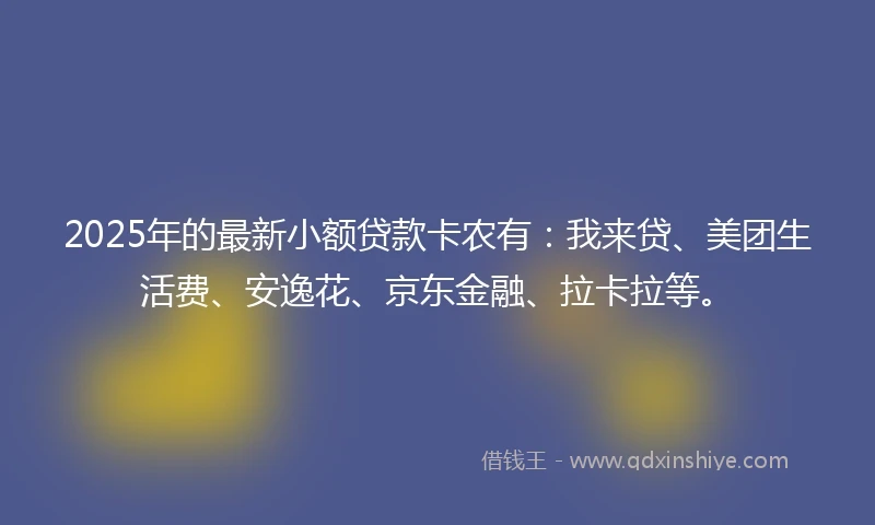 2025年的最新小额贷款卡农有：我来贷、美团生活费、安逸花、京东金融、拉卡拉等。