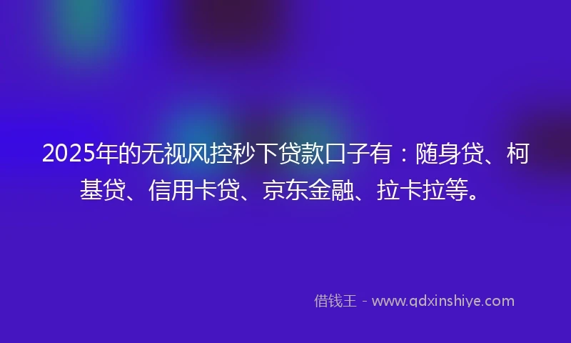 2025年的无视风控秒下贷款口子有：随身贷、柯基贷、信用卡贷、京东金融、拉卡拉等。
