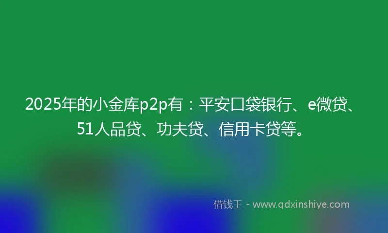 2025年的小金库p2p有：平安口袋银行、e微贷、51人品贷、功夫贷、信用卡贷等。