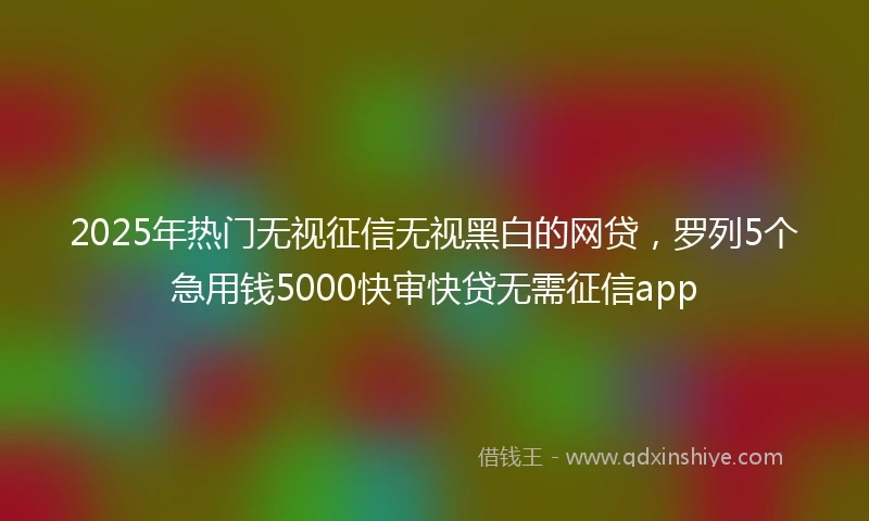 2025年热门无视征信无视黑白的网贷，罗列5个急用钱5000快审快贷无需征信app