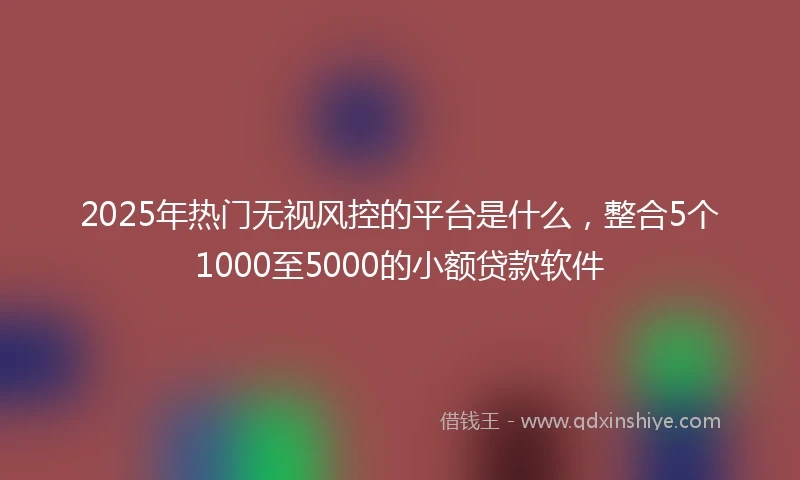 2025年热门无视风控的平台是什么，整合5个1000至5000的小额贷款软件