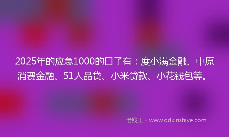 2025年的应急1000的口子有：度小满金融、中原消费金融、51人品贷、小米贷款、小花钱包等。