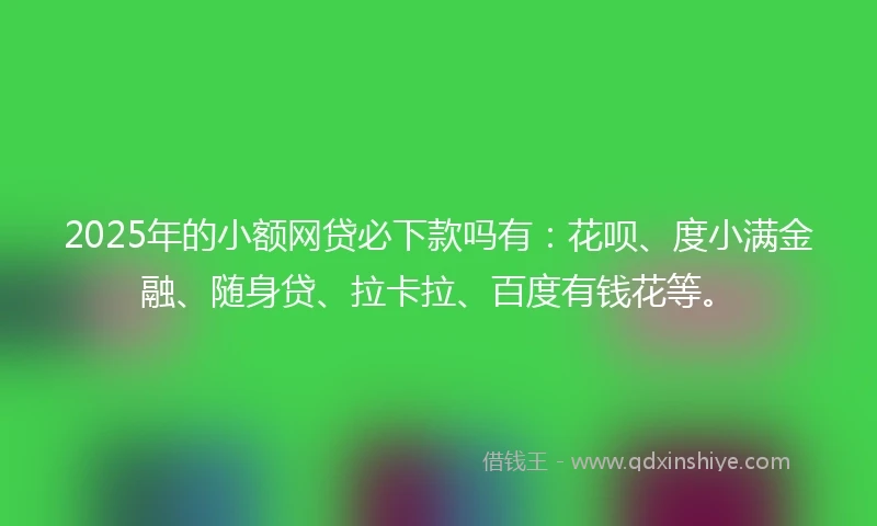 2025年的小额网贷必下款吗有：花呗、度小满金融、随身贷、拉卡拉、百度有钱花等。