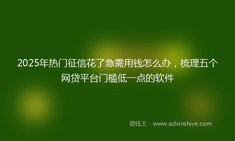 2025年热门征信花了急需用钱怎么办，梳理五个网贷平台门槛低一点的软件