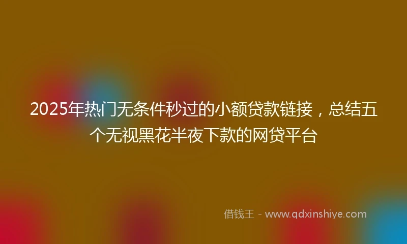 2025年热门无条件秒过的小额贷款链接，总结五个无视黑花半夜下款的网贷平台