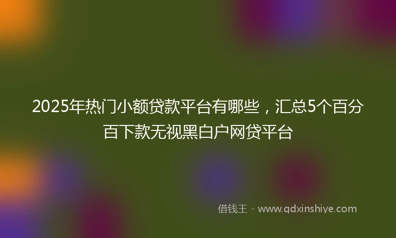 2025年热门小额贷款平台有哪些，汇总5个百分百下款无视黑白户网贷平台