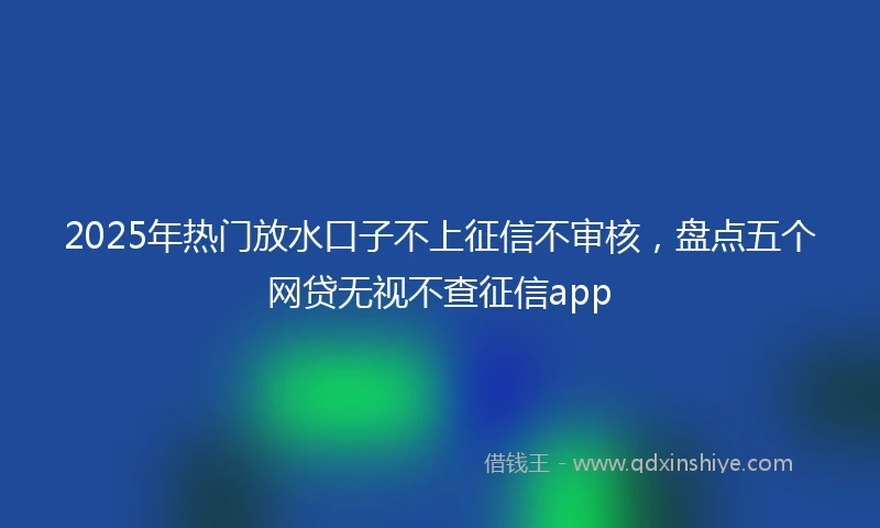 2025年热门放水口子不上征信不审核，盘点五个网贷无视不查征信app