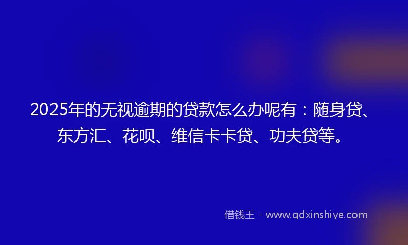 2025年的无视逾期的贷款怎么办呢有：随身贷、东方汇、花呗、维信卡卡贷、功夫贷等。