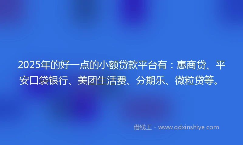 2025年的好一点的小额贷款平台有：惠商贷、平安口袋银行、美团生活费、分期乐、微粒贷等。
