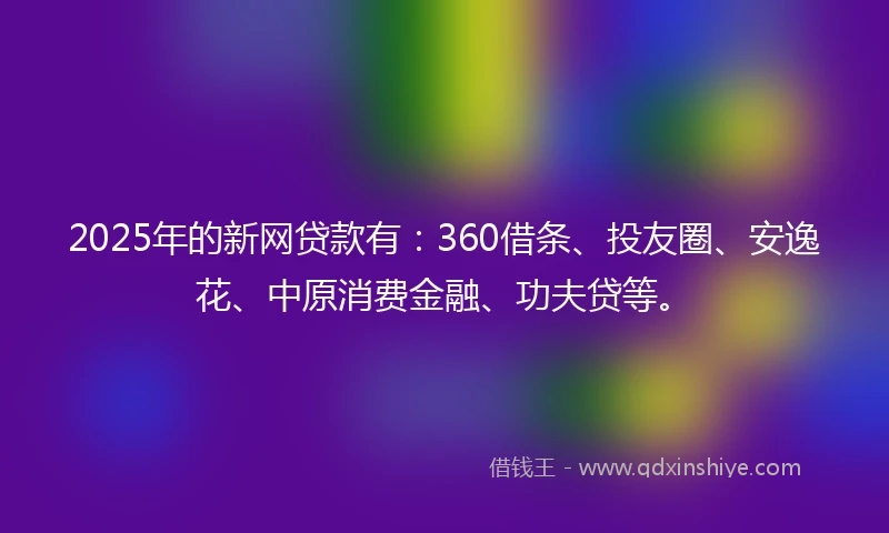 2025年的新网贷款有：360借条、投友圈、安逸花、中原消费金融、功夫贷等。