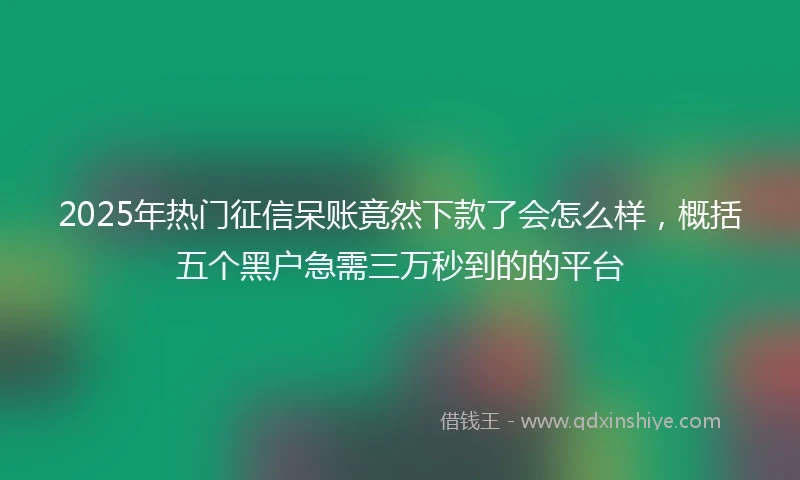 2025年热门征信呆账竟然下款了会怎么样，概括五个黑户急需三万秒到的的平台
