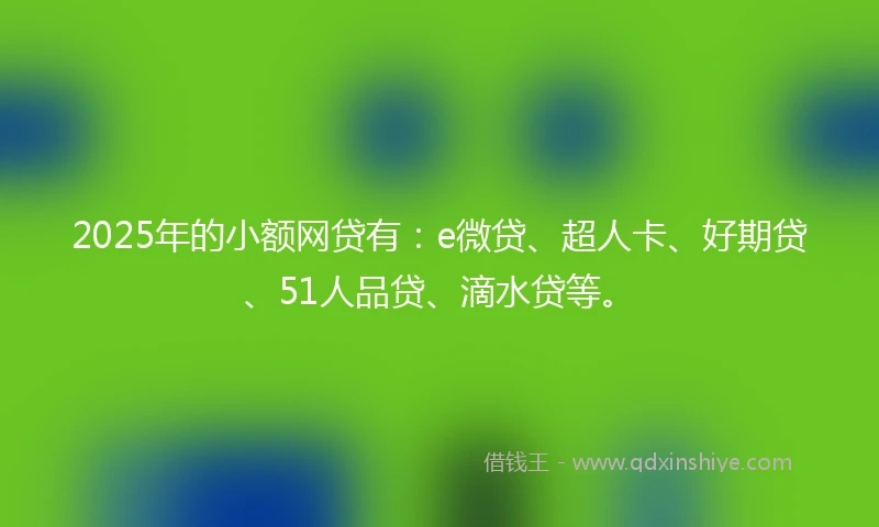 2025年的小额网贷有：e微贷、超人卡、好期贷、51人品贷、滴水贷等。