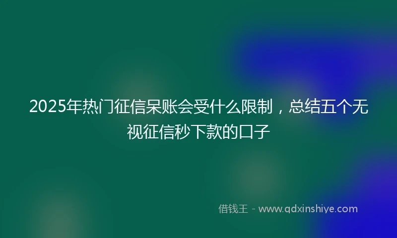 2025年热门征信呆账会受什么限制，总结五个无视征信秒下款的口子