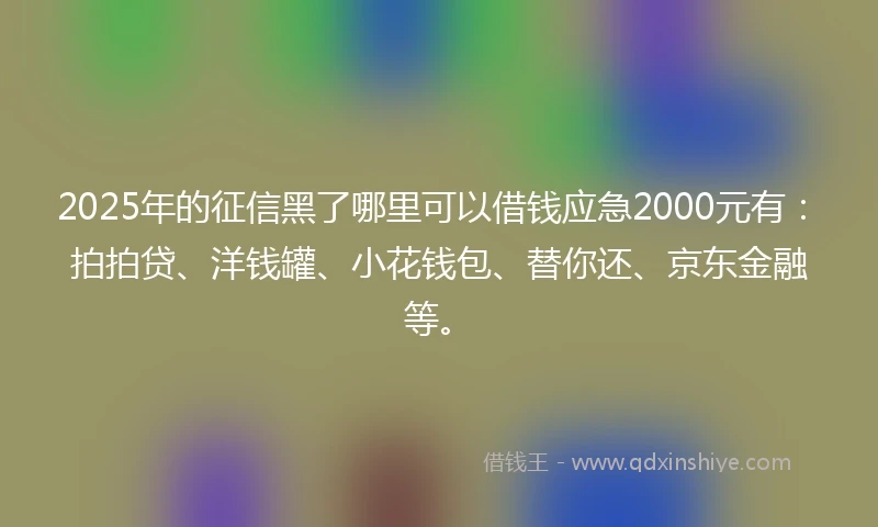 2025年的征信黑了哪里可以借钱应急2000元有：拍拍贷、洋钱罐、小花钱包、替你还、京东金融等。