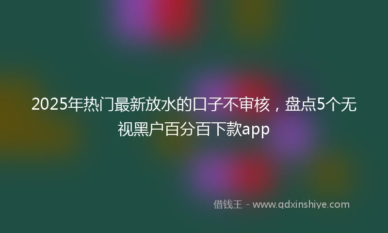 2025年热门最新放水的口子不审核，盘点5个无视黑户百分百下款app
