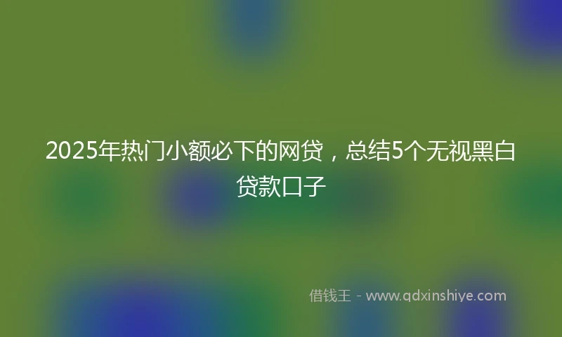 2025年热门小额必下的网贷，总结5个无视黑白贷款口子