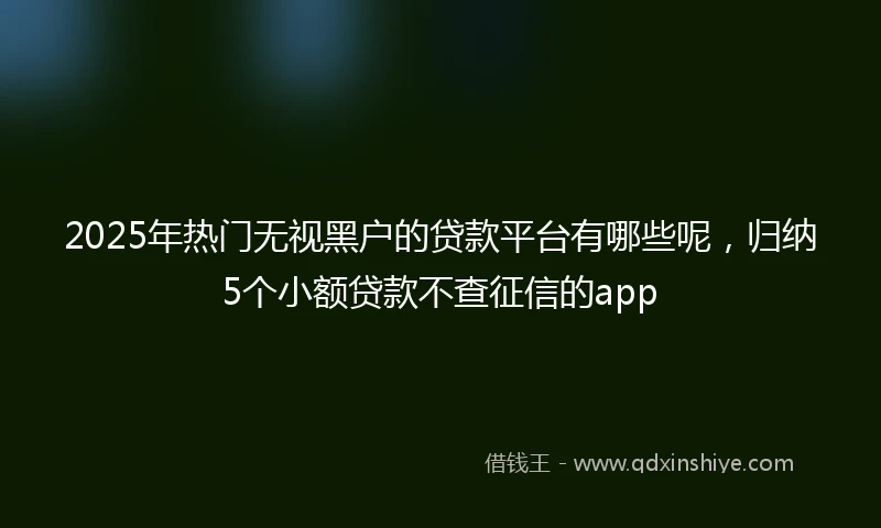 2025年热门无视黑户的贷款平台有哪些呢，归纳5个小额贷款不查征信的app