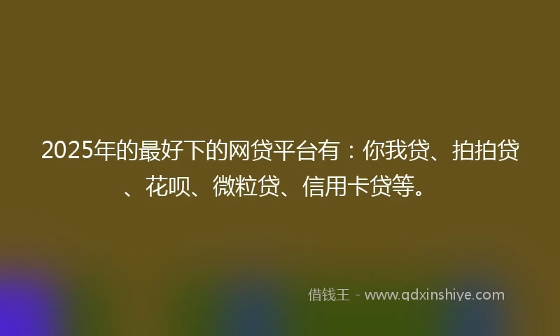 2025年的最好下的网贷平台有：你我贷、拍拍贷、花呗、微粒贷、信用卡贷等。