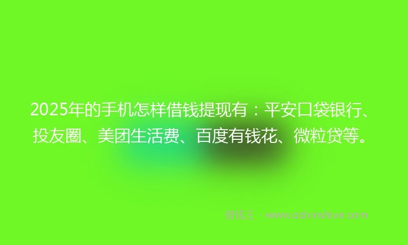 2025年的手机怎样借钱提现有：平安口袋银行、投友圈、美团生活费、百度有钱花、微粒贷等。