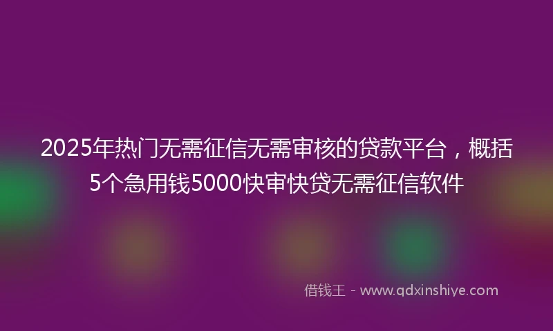 2025年热门无需征信无需审核的贷款平台，概括5个急用钱5000快审快贷无需征信软件