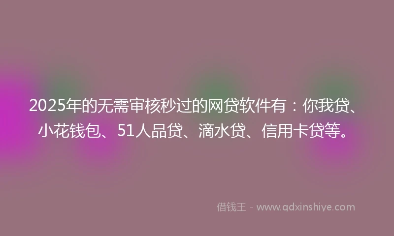 2025年的无需审核秒过的网贷软件有：你我贷、小花钱包、51人品贷、滴水贷、信用卡贷等。