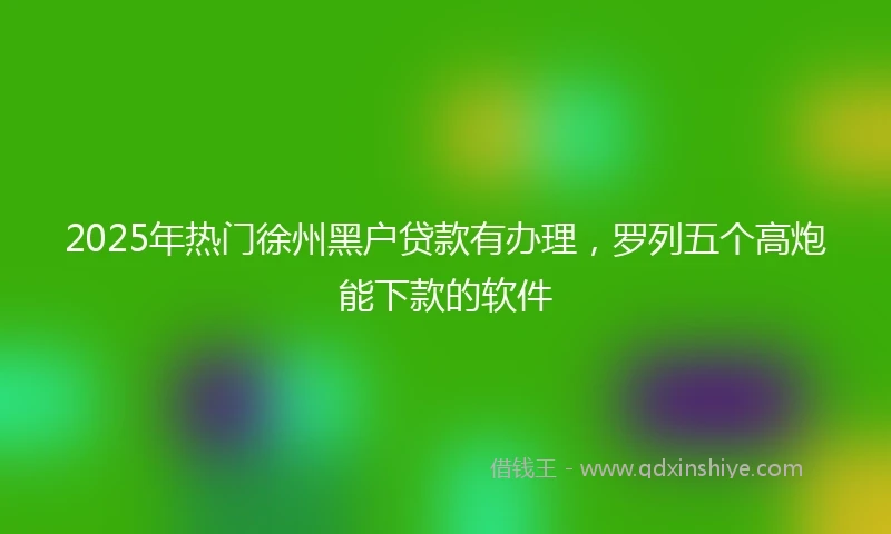2025年热门徐州黑户贷款有办理，罗列五个高炮能下款的软件