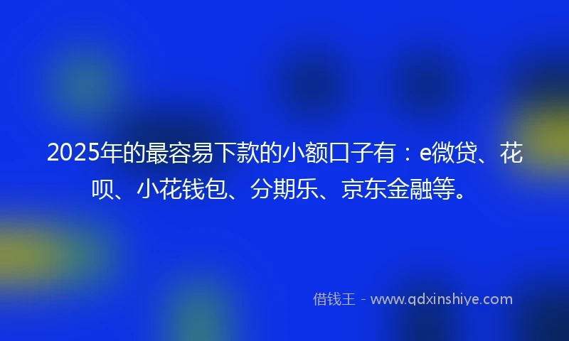 2025年的最容易下款的小额口子有：e微贷、花呗、小花钱包、分期乐、京东金融等。