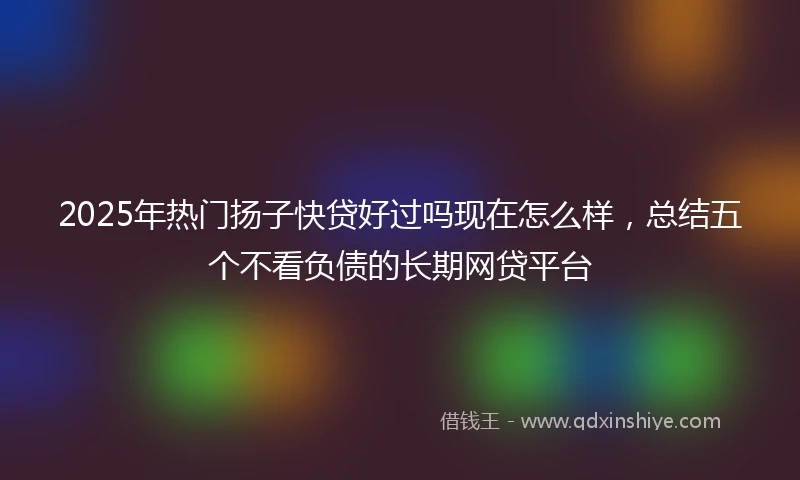 2025年热门扬子快贷好过吗现在怎么样，总结五个不看负债的长期网贷平台